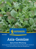 Asia-Gemüsesamen Spicy Green