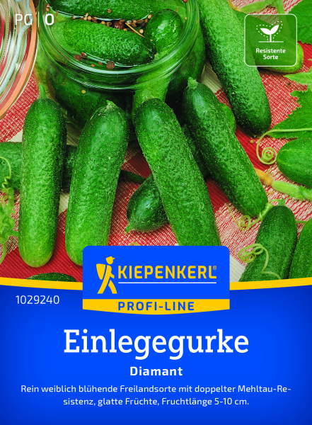 Einlegegurkensamen Diamant