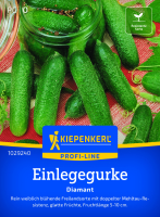 Einlegegurkensamen Diamant