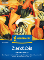 Zierkürbissamen Autumn Wings