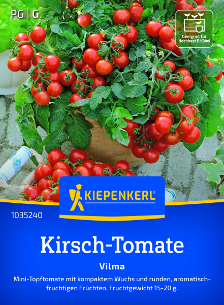 Kirsch-Tomatensamen Vilma