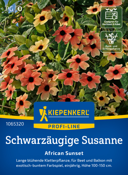 Schwarzäugige Susanne-Samen African Sunset