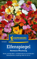 Elfenspiegelsamen Nemesia