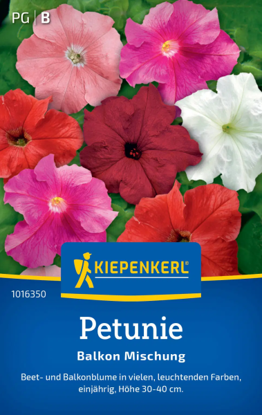 Petuniensamen Balkon