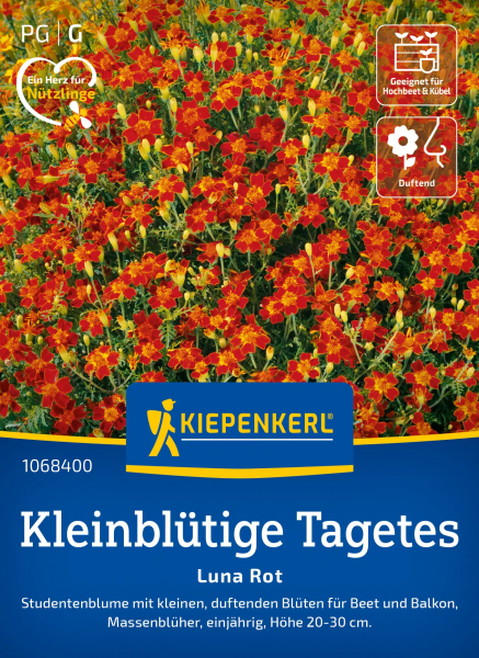 Kleinblütige Tagetessamen Luna Rot