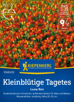 Kleinblütige Tagetessamen Luna Rot