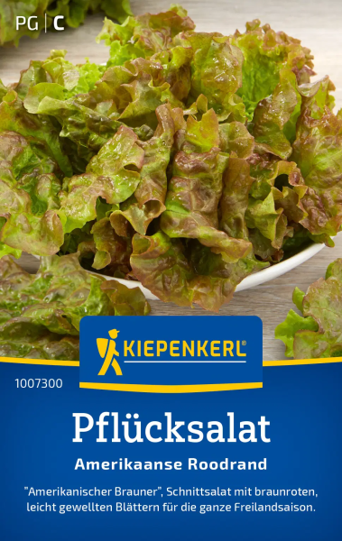 Pflücksalatsamen Amerikanischer Brauner/Roodrand