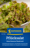 Pflücksalatsamen Amerikanischer Brauner/Roodrand
