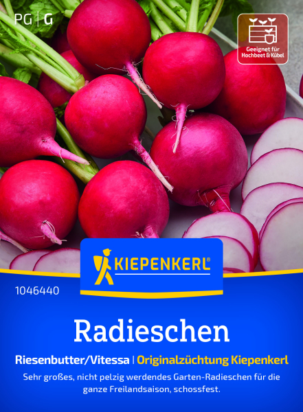 Radieschensamen Riesenbutter/Vitessa
