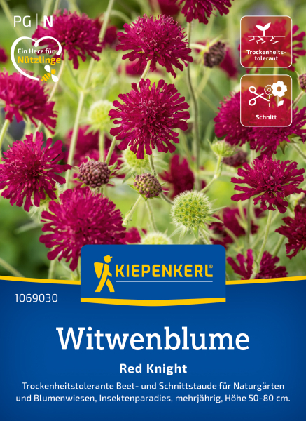 Witwenblumensamen Red Knight