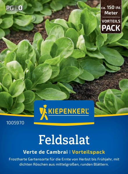 Feldsalatsamen Verte de Cambrai (Vorteilspack)