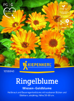 Ringelblumensamen Wiesen-Goldblume