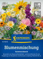 Blumensamen- Sommerabend