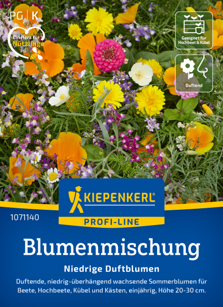 Blumensamen- Niedrige Duftblumen