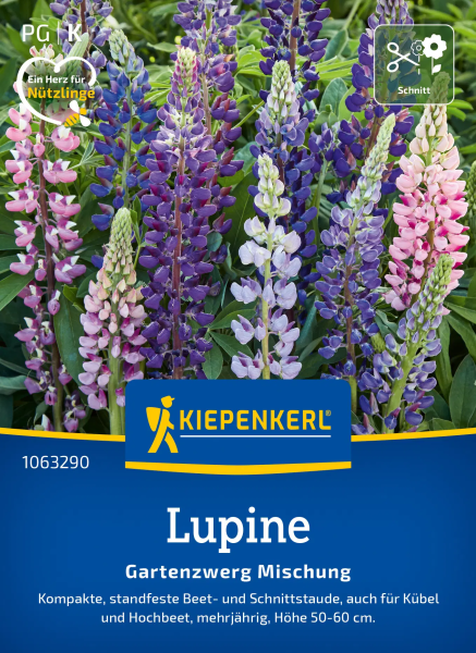 Lupinensamen Gartenzwerg