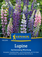Lupinensamen Gartenzwerg