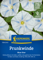 Prunkwindensamen Blue Star