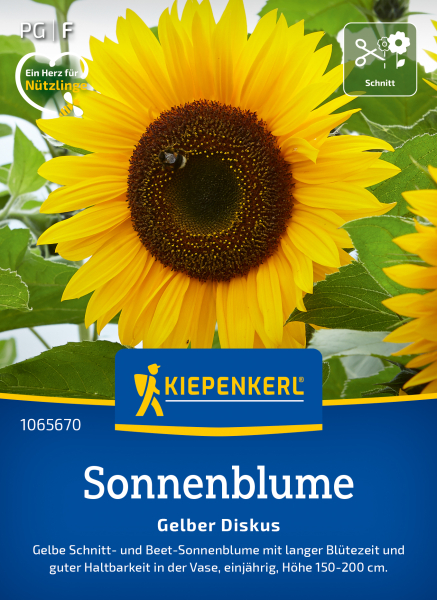 Sonnenblumensamen Gelber Diskus ca.180cm