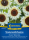 Sonnenblumensamen ProCut® White Nite 150-200cm