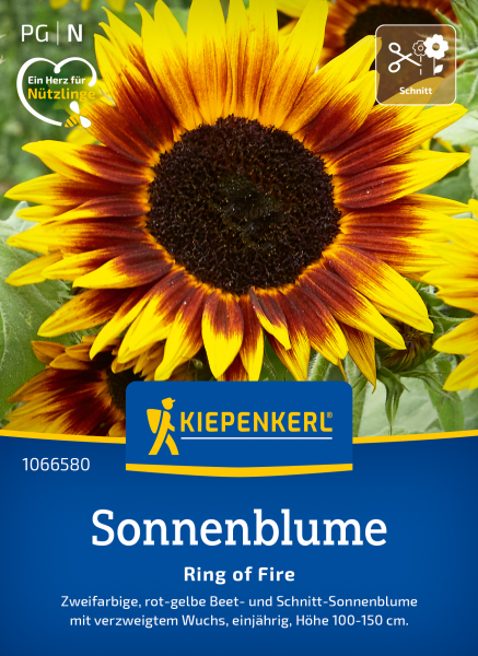 Sonnenblumensamen Ring of Fire