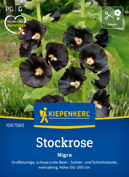Stockrosensamen Nigra