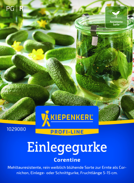 Einlegegurkensamen Corentine