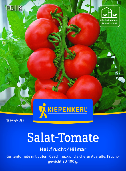 Salat-Tomatensamen Hellfrucht / Hilmar