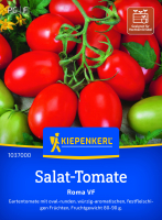 Salat-Tomatensamen Roma VF