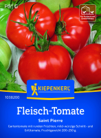 Fleisch-Tomatensamen Saint Pierre