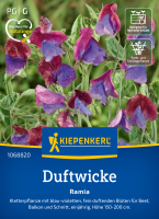 Duftwickensamen Ramia