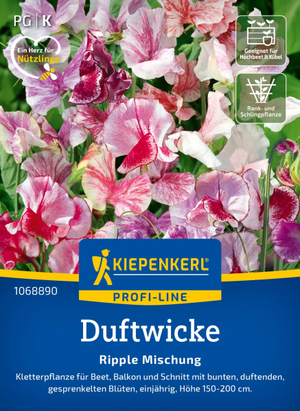 Duftwickensamen Ripple