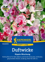 Duftwickensamen Ripple