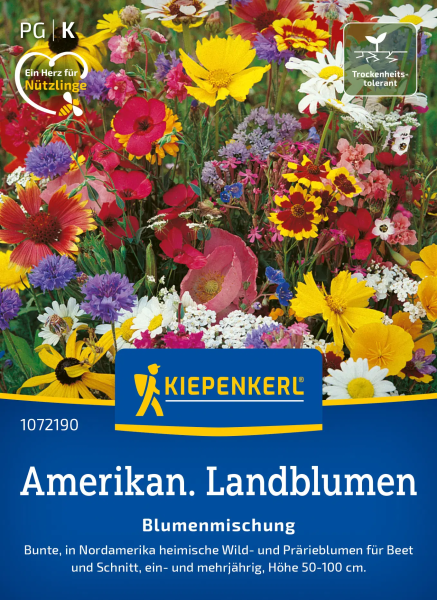 Blumensamen- Amerikanische Landblumen