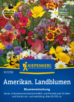 Blumensamen- Amerikanische Landblumen