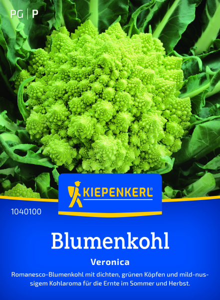 Blumenkohlsamen Veronica