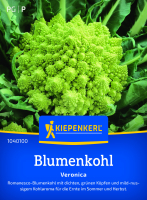 Blumenkohlsamen Veronica