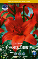 Lilie Orange County 3St.