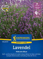 Lavendelsamen Hidcote Blue