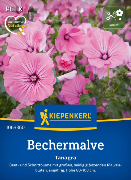 Bechermalvensamen Tanagra