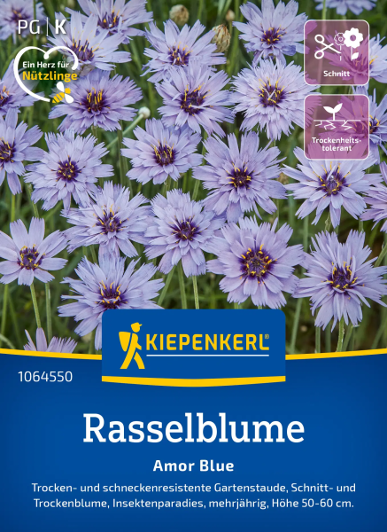 Rasselblumensamen Amor Blue