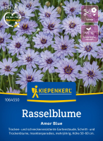 Rasselblumensamen Amor Blue