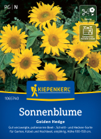 Sonnenblumensamen Golden Hedge