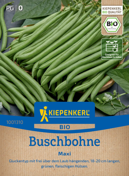 Bio-Buschbohnensamen Maxi