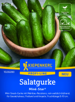 Salatgurkensamen Miné-Star® F1