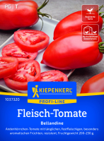 Fleisch-Tomatensamen Bellandine