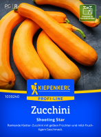 Kletter-Zucchinisamen Shooting Star