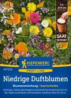 Blumensamen- Niedrige Duftblumen Saatscheibe