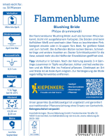 Flammenblumensamen Blushing Bride