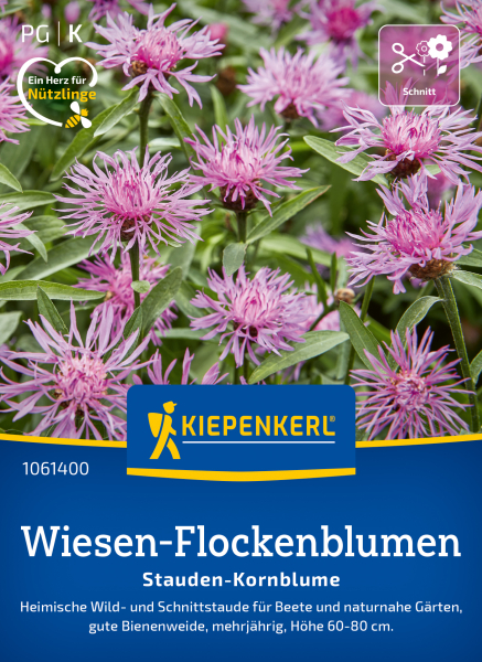 Wiesen-Flockenblumensamen Stauden-Kornblume