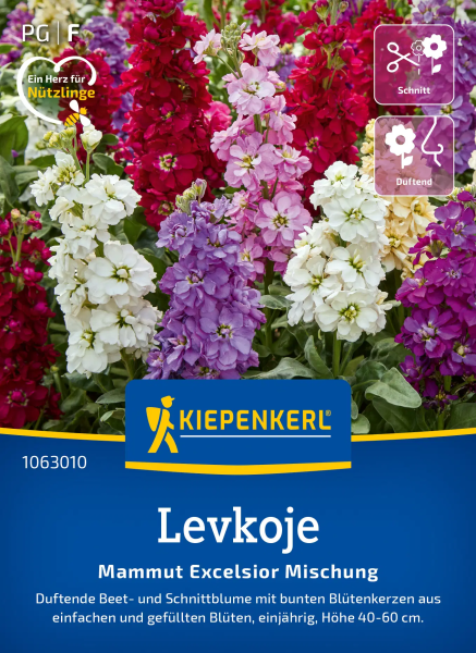 Levkojensamen Mammut Excelsior